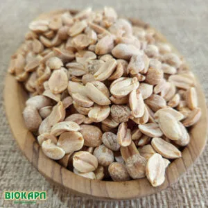 White Roasted Unsalted Pistachio Trees